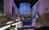 Museo di Storia Naturale – guide Marsilio – Venezia, 2012